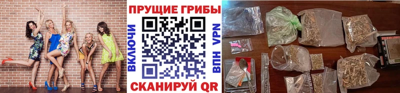 Галлюциногенные грибы Cubensis  Вилюйск 